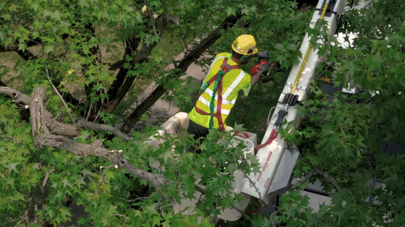 Professional arborist working safely from aerial lift bucket in Missouri, TX
