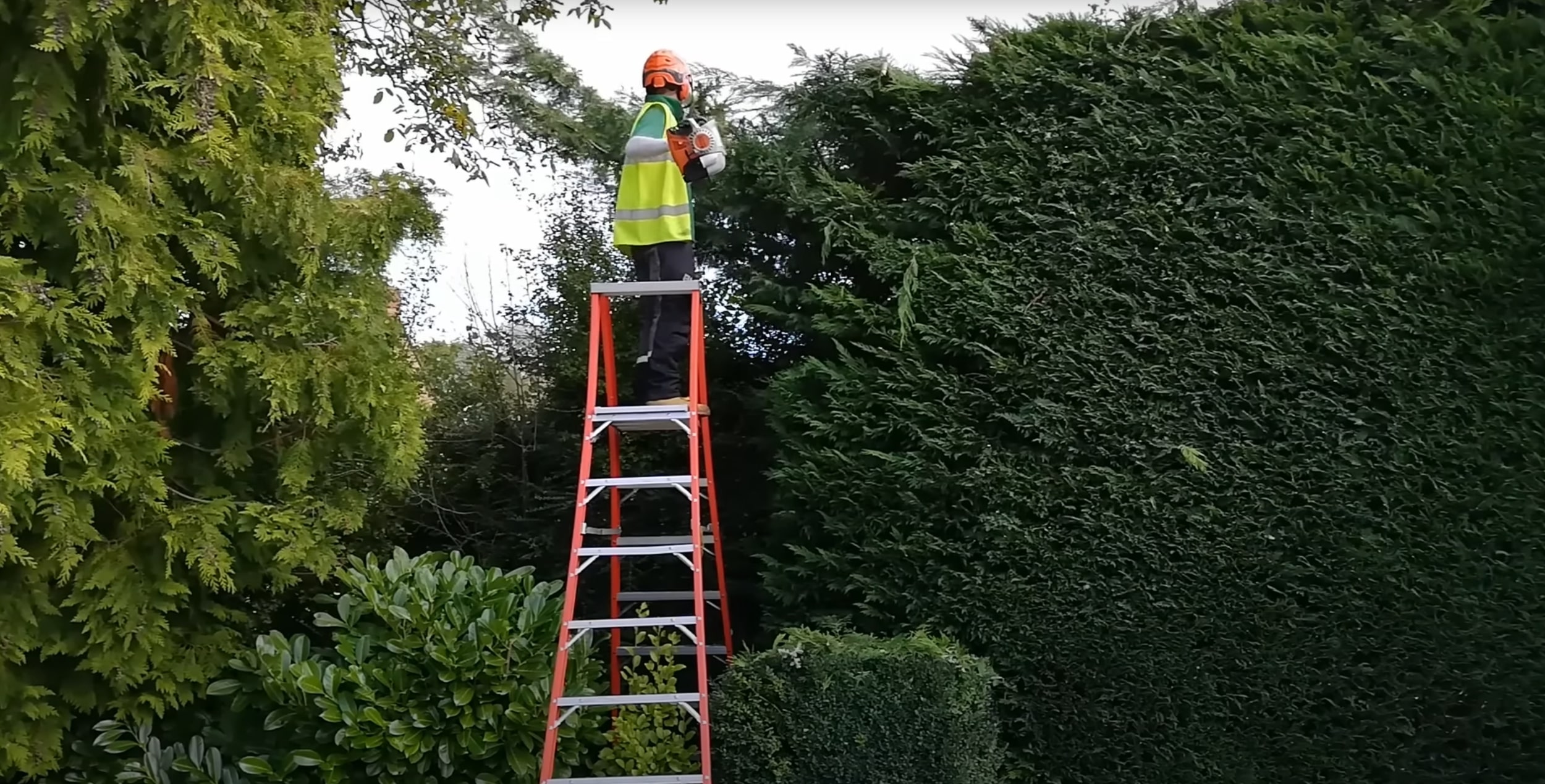 Professional hedge and shrub trimming service in Missouri, TX