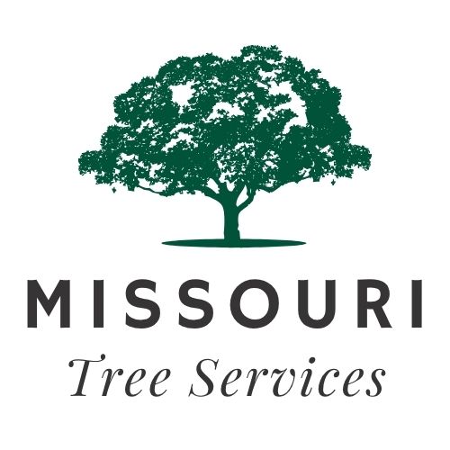 RootsCrew Missouri Tree Services Logo