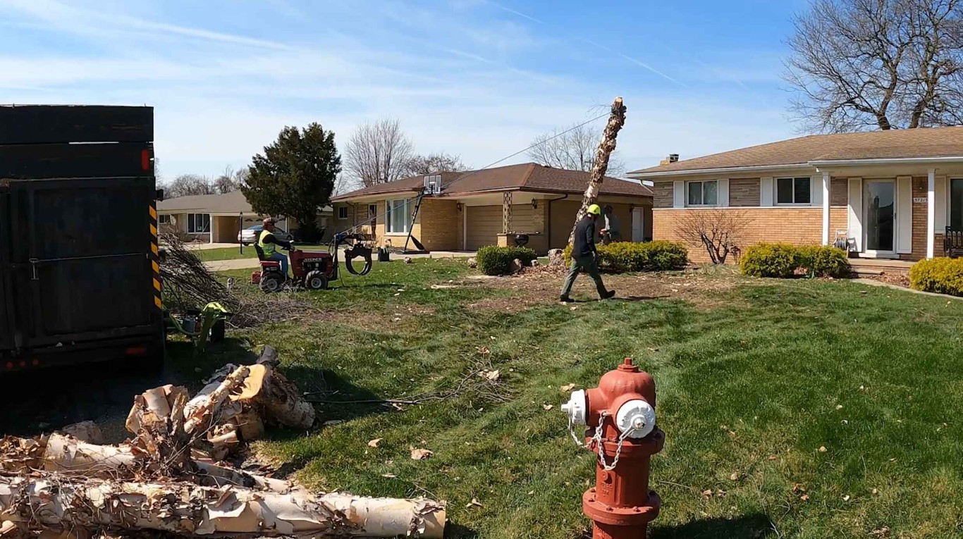 Emergency tree removal service in residential area in Missouri, TX
